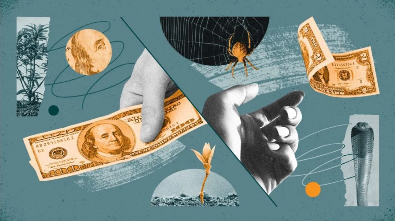 Como Identificar Fraudes e Pirâmides Financeiras